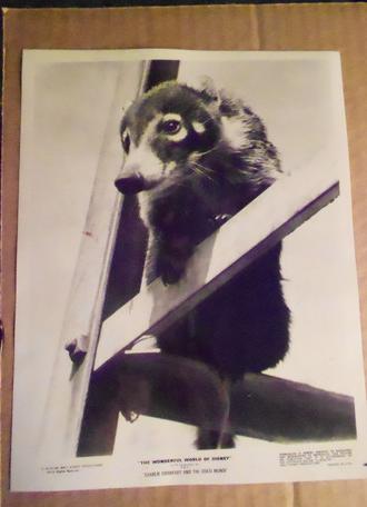 Charlie Crowfoot and the Coati Mundi (1971)