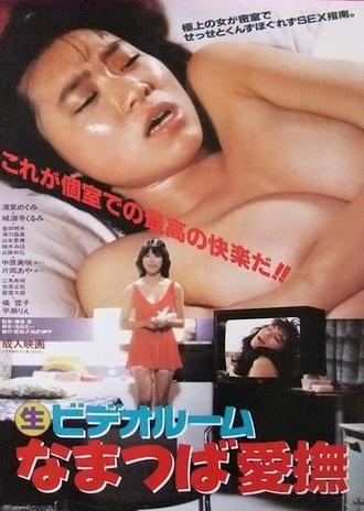(Marunama) Video Room: Namatsuba Aibu (1986)