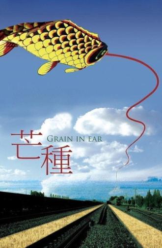 Grain in Ear (2005)