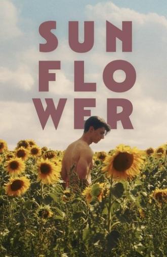 Sunflower (2024)