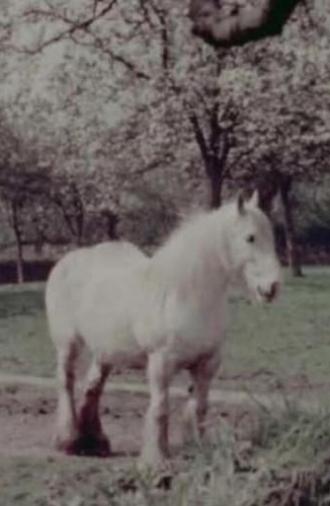 East of the Malverns (1957)