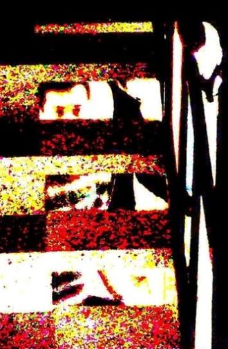 chaos (2021)