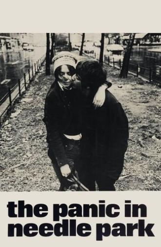 The Panic in Needle Park (1971)