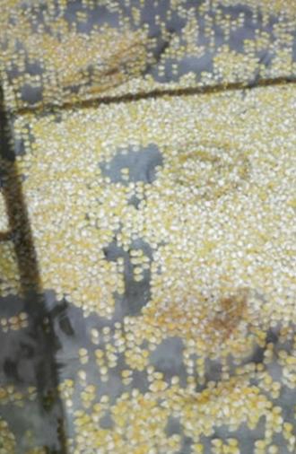 Who Is Afraid of Ideology? Part 3 Micro Resistances (2020)