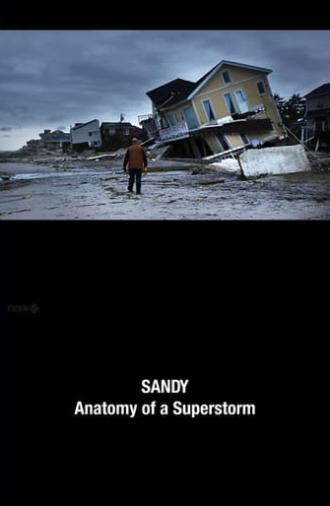 Sandy: Anatomy of a Superstorm (2012)