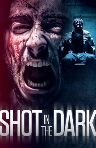 Shot in the Dark (2021)