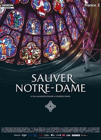 Sauver Notre-Dame (2020)