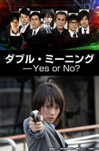 Double Meaning: Yes or No? (2013)