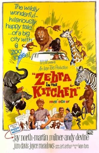 Zebra in the Kitchen (1965)