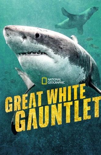 Great White Gauntlet (2026)