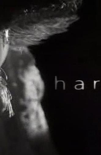 Harvey (2002)