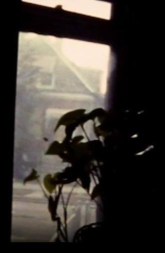 Windows (1984)