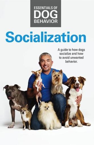 Essentials of Dog Behavior: Socialization (2014)