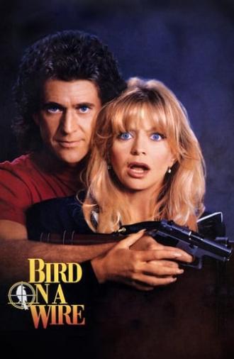 Bird on a Wire (1990)