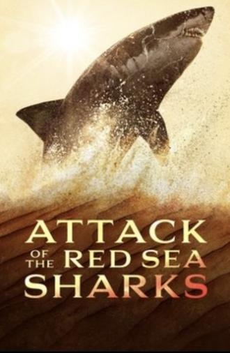 Attack of the Red Sea Sharks (2024)