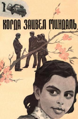 When Almonds Blossomed (1973)