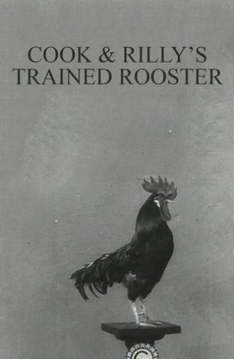 Cook & Rilly's Trained Rooster (1905)