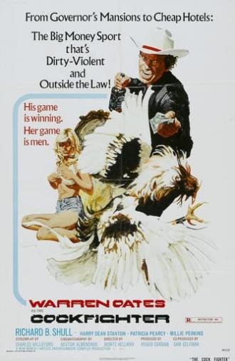 Cockfighter (1974)