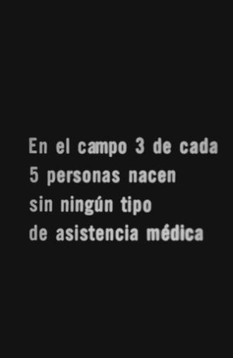 Los 505 (1973)