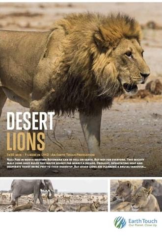 Desert Lions (2017)