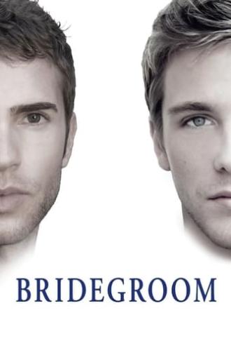 Bridegroom (2013)
