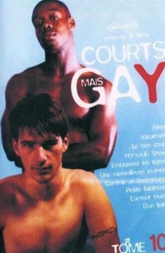 Courts mais Gay : Tome 10 (2005)