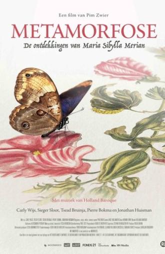 Metamorphosis (2025)