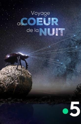 Voyage Au Coeur De La Nuit (2025)