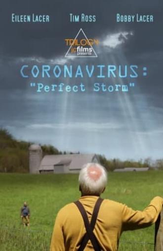 Coronavirus: Perfect Storm (2020)