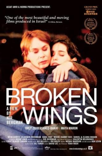 Broken Wings (2002)