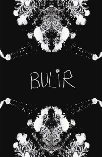 BULIR (2024)