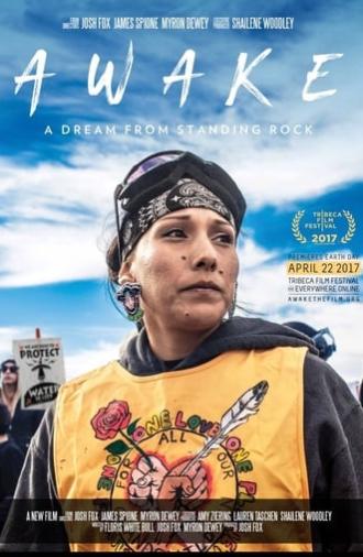 Awake, a Dream from Standing Rock (2017)