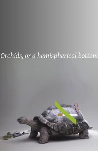 Orchids, or a hemispherical bottom (2013)