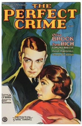 The Perfect Crime (1928)