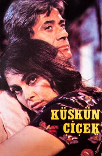 Resentful Flower (1979)