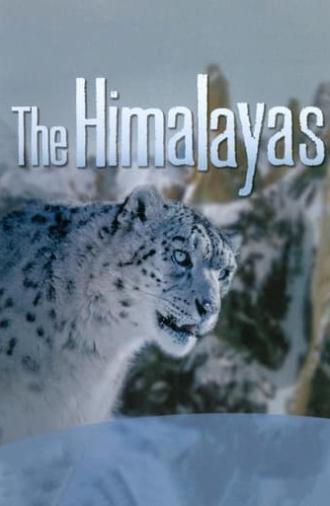 The Himalayas (2011)