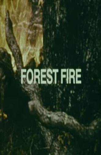 Your Chance to Live: Forest Fire (1973)