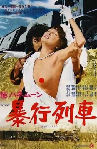 Secret Honeymoon: Assault Train (1977)