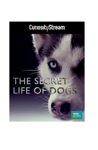 The Secret Life of Dogs (2013)