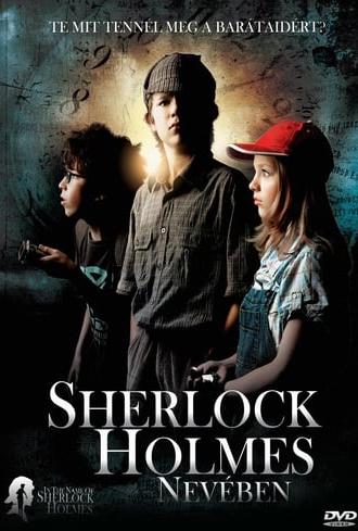 In the Name of Sherlock Holmes (2011)