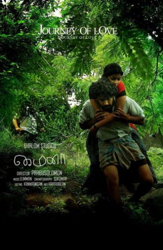 Mynaa (2010)