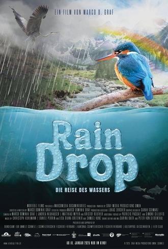 Raindrop (2025)