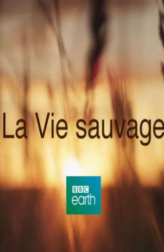 La Vie Sauvage (2016)