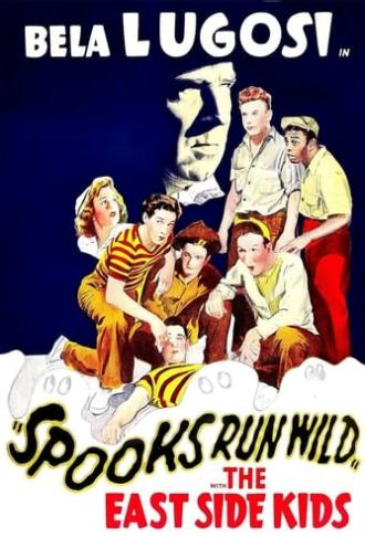 Spooks Run Wild (1941)