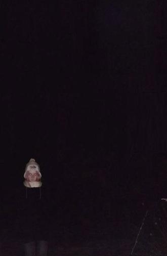 A Shallow Perception of Me (2021)