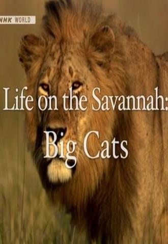 Life on the Savannah: Big Cats (2010)