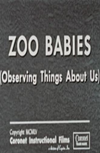 Zoo Babies (Observing Things About Us) (1955)