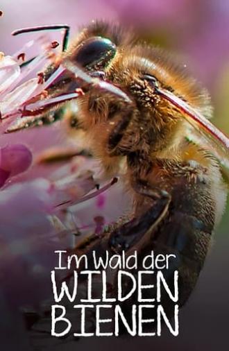 Im Wald der wilden Bienen (2022)