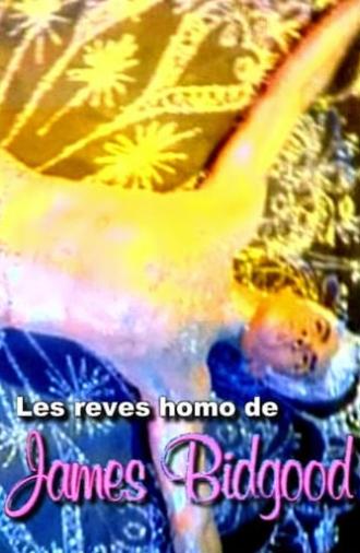 The Queer Reveries of James Bidgood (1999)