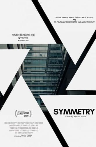 Symmetry (2020)